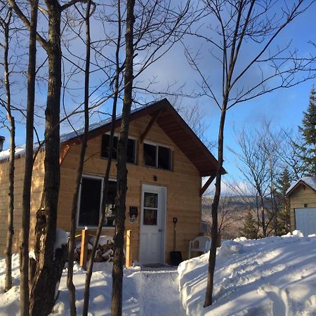 Chalet Nature Laurentides Val-des-Lacs Buitenkant foto