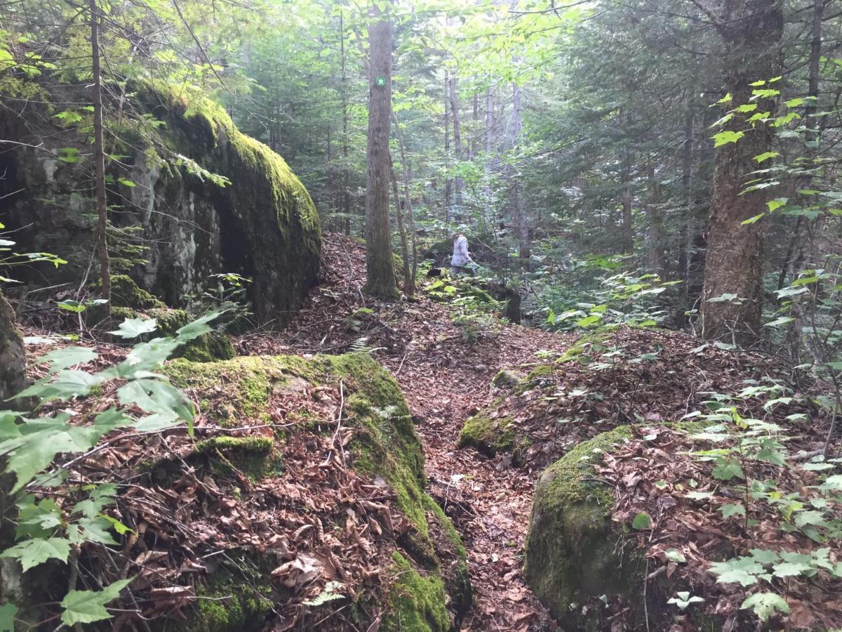 Chalet Nature Laurentides Val-des-Lacs Buitenkant foto