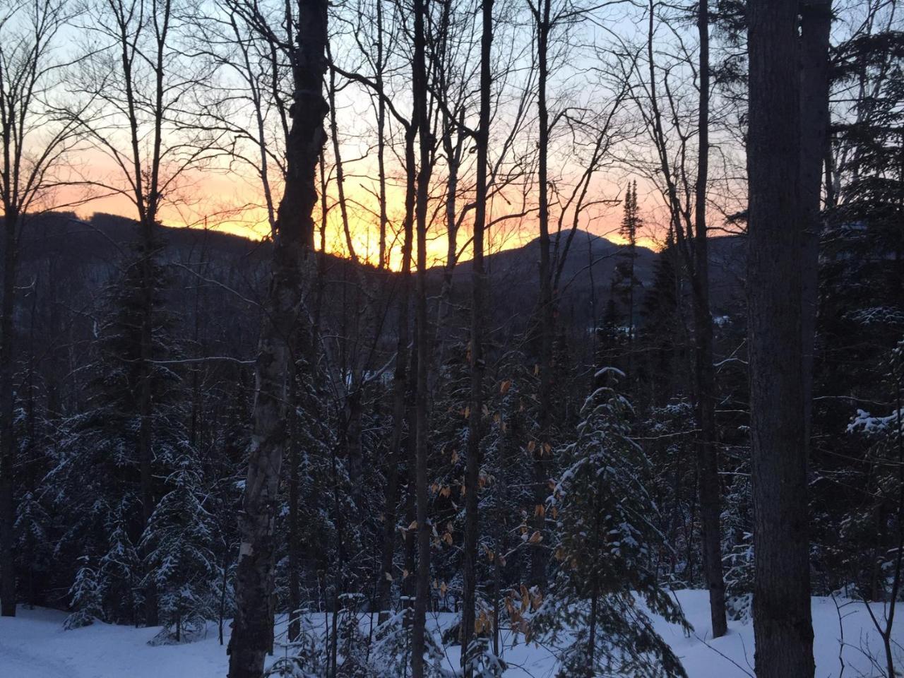 Chalet Nature Laurentides Val-des-Lacs Buitenkant foto