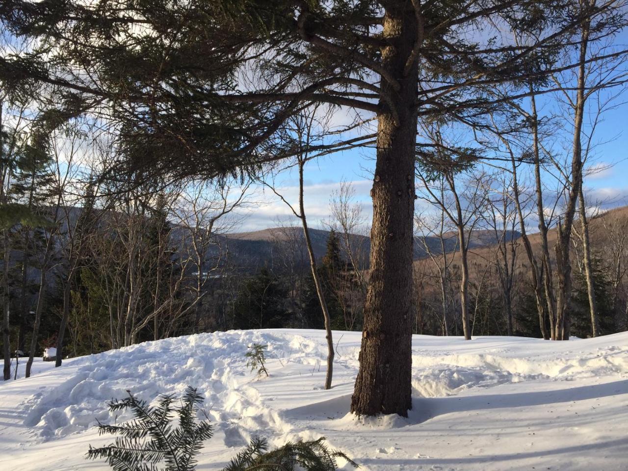 Chalet Nature Laurentides Val-des-Lacs Buitenkant foto